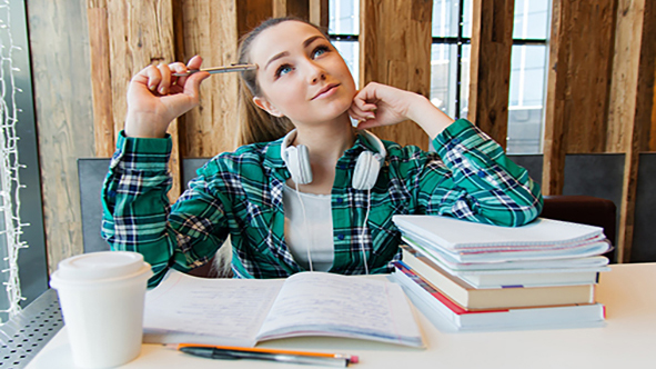 programma exchange IRLYEEE